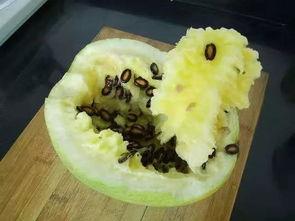 籽瓜热吃吗,热食还是冷食，哪种吃法更佳？