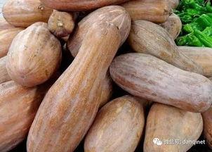 吃接骨丹药可以吃方瓜吗,食用禁忌与搭配指南