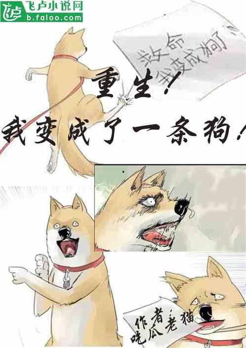 原创吃瓜比赛小说,原创吃瓜比赛，谁主沉浮？