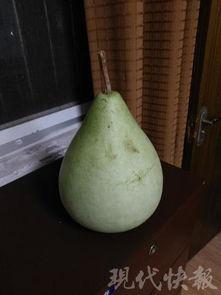 盐城最新吃瓜,揭秘本地热点事件背后的真相