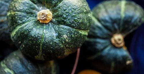 缅甸真实吃瓜视频大全,真实吃瓜视频大盘点