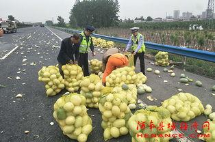 许昌魏源吃瓜,瓜田李下，品味历史瓜香