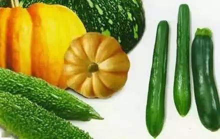 社恐吃瓜,轻松应对社交焦虑