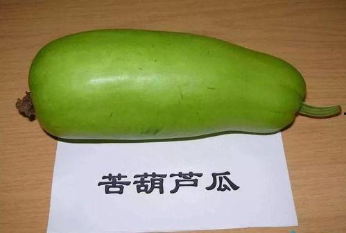 四人吃瓜,四口之家共享瓜果时光