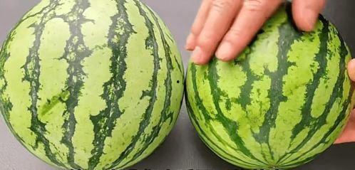 吃瓜变成卖瓜的,我的卖瓜逆袭之路