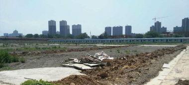 赵苑北门吃瓜,吃瓜群众的欢乐盛宴