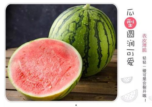 吃瓜界的王,揭秘王者的瓜界风云