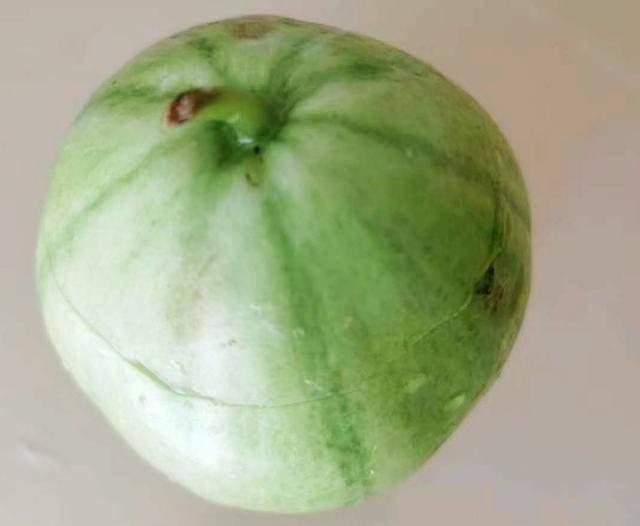 菜瓜是什么瓜怎么吃,揭秘其身份与多样食用方法