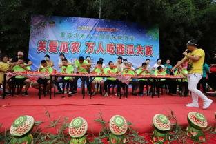 吃瓜大赛决赛现场